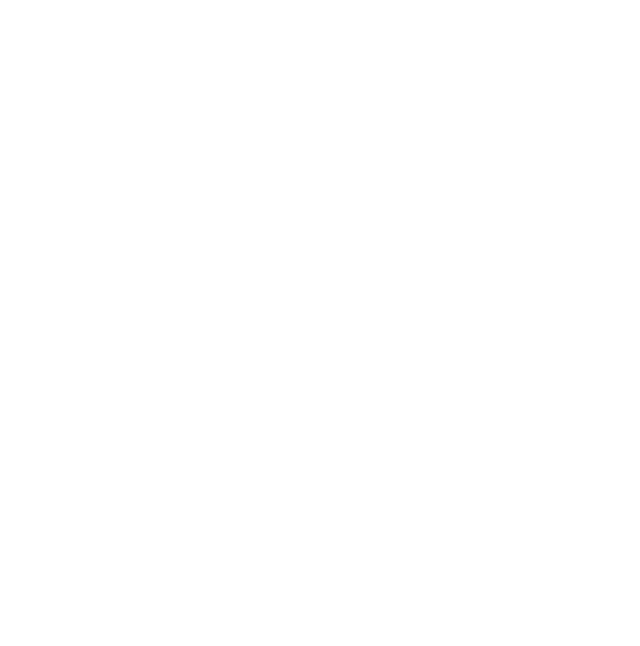 Turon University